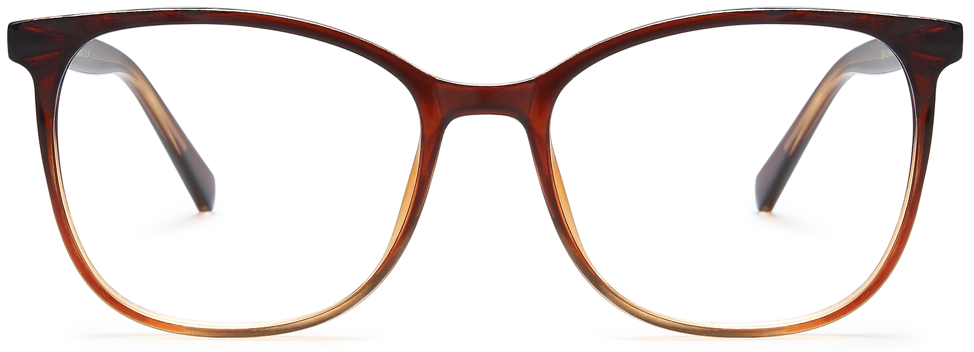 D2545 C3-Brown (2).jpg